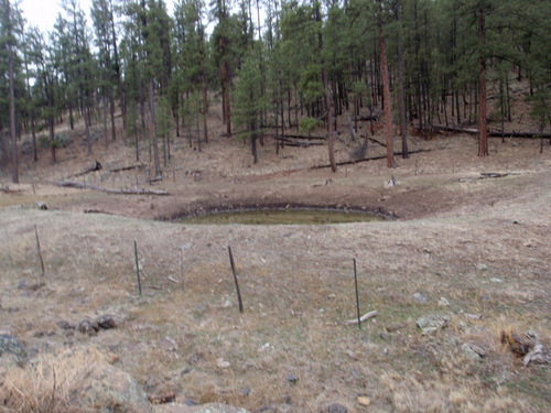 first water that we have seen on the ground for about 70 miles.